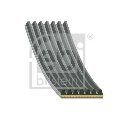 V-ribbed Belt